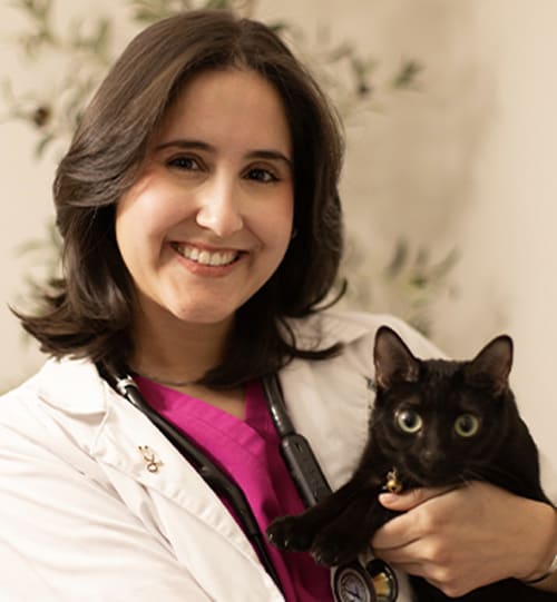 Dr. Elaine Arias, Thornton Veterinarian